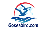 Goseabird